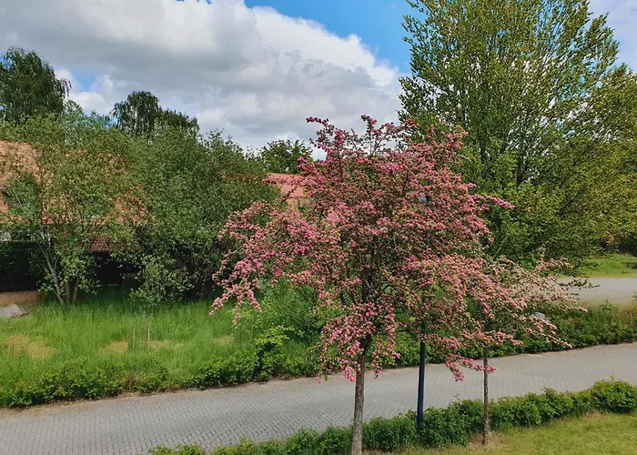 Hase بيت للعطل بورغ