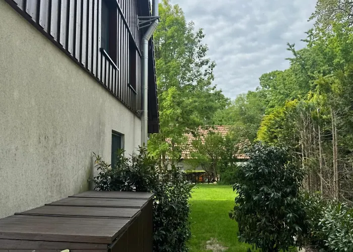 Hase بيت للعطل بورغ